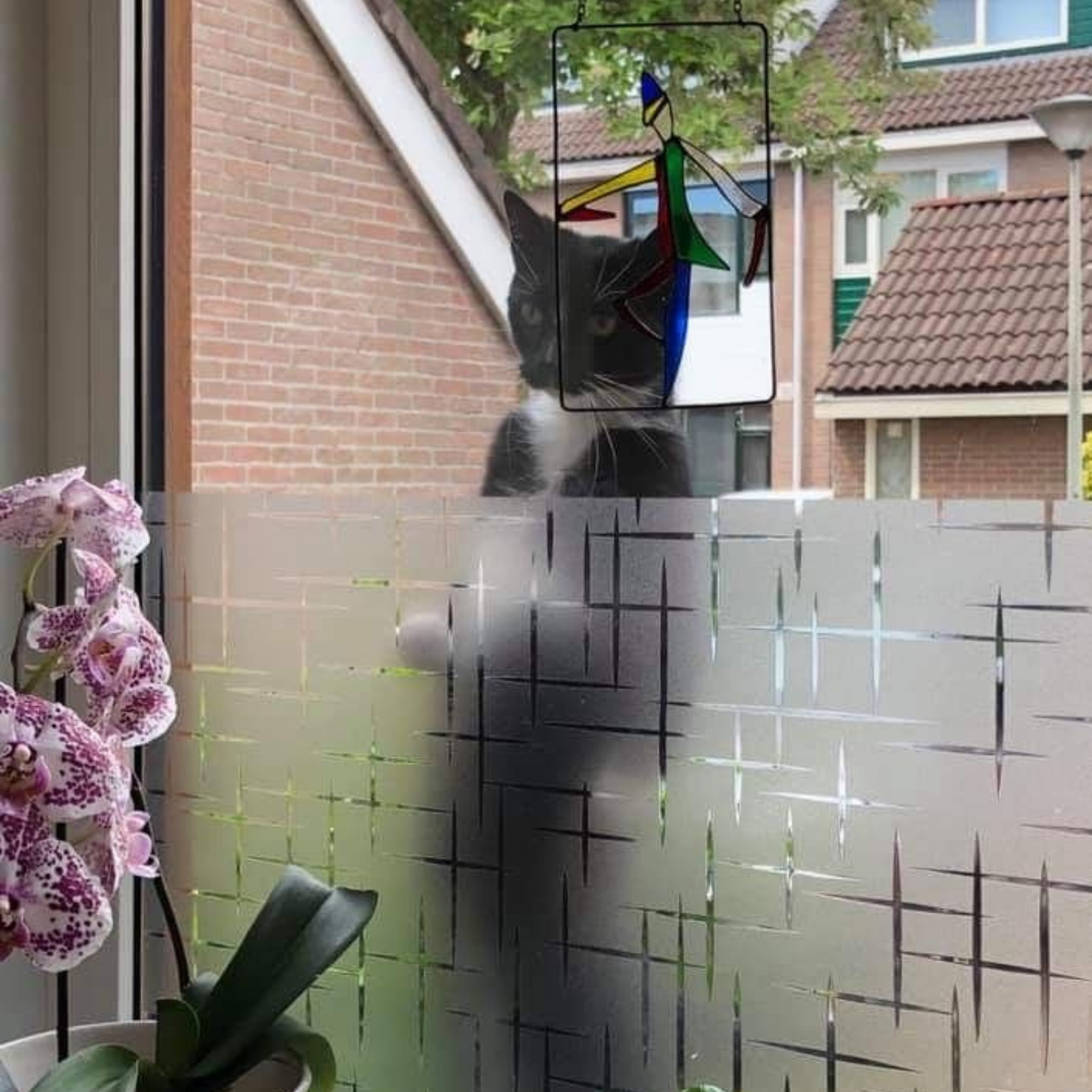 Decoratieve folie met sterren voor ramen